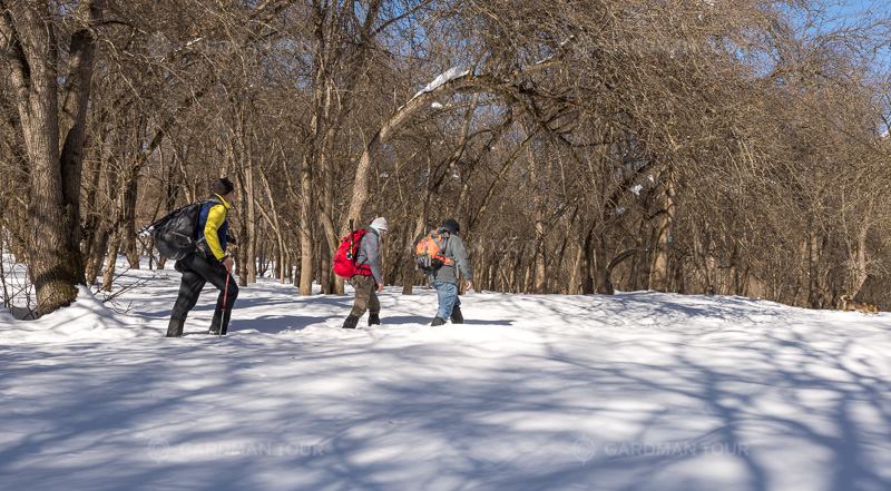 GardmanTour's tweet photo. Pristine forests covered in white, snow crunching softly at each step, the pearl of Lake Sevan in the white shell of Geghama Mountains and fascinating stories of Sevanavank Monastery…
Find more about this tour at: https://t.co/dgfsBr9v85 or contact us by phone: (010) 545353. https://t.co/kfUhyryAzi