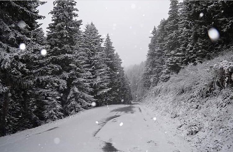 Giresun’un sert iklimiyle sizi başbaşa bırakmak istemiyoruz !
☎️ : 0452 811 26 27