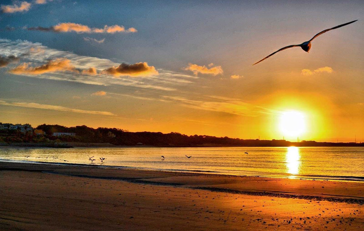 orionx10's tweet photo. Tú, el amanecer que despierta mi vida, el que conduce a nuevos placeres, el que me ofrece la vida, la alegría de un nuevo día.🦉 https://t.co/rcZPGRNLFB