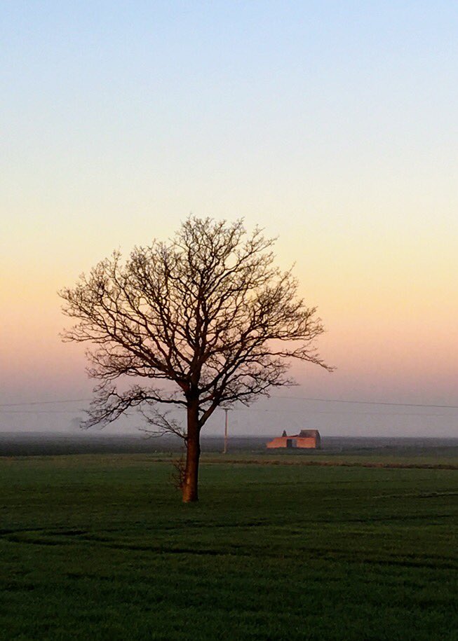 VeronicaJoPo's tweet photo. A little bit fresh this morning on my walk and so peaceful watching the #sunrise #cambridgeshire #peaceful #trees #nature #morningwalk #hiwednesday @Fen_SCENE @metoffice @itvanglia @ChrisPage90 @BBCWthrWatchers https://t.co/gijJWbsnoV