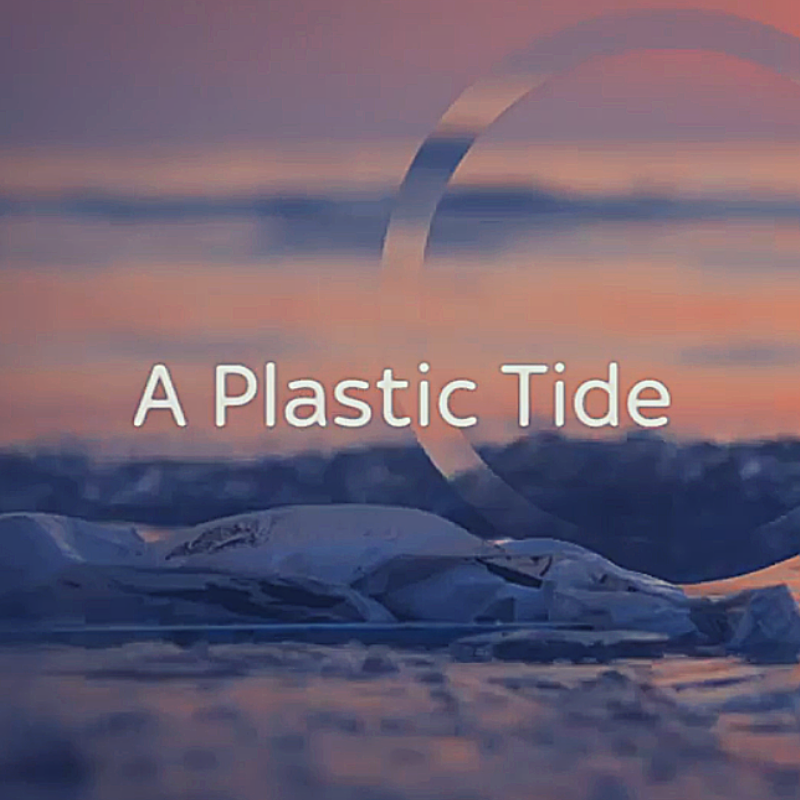 TheZeroWasteWay's tweet photo. A Plastic Tide.

Another visual reminder of how our throw away society causes so much damage to the environment.

It's up to us to make better choices.

Watch: https://t.co/OcbHmfQuOp

#ZeroWaste #Inspiration #SayNoToPlastic https://t.co/YLLcCxvxIQ