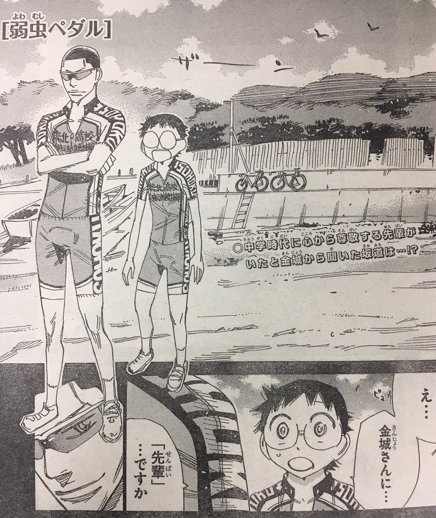 週刊少年チャンピオン編集部 弱虫ペダル 週刊少年チャンピオン13号は2月28日 木 発売 Ih最終日 ゴールまであと600m ゴール地点で1年前の坂道を思い出す金城 巻島の不在で悲しみに暮れる坂道に対し 金城は中学時代のある先輩の話を語りはじめ