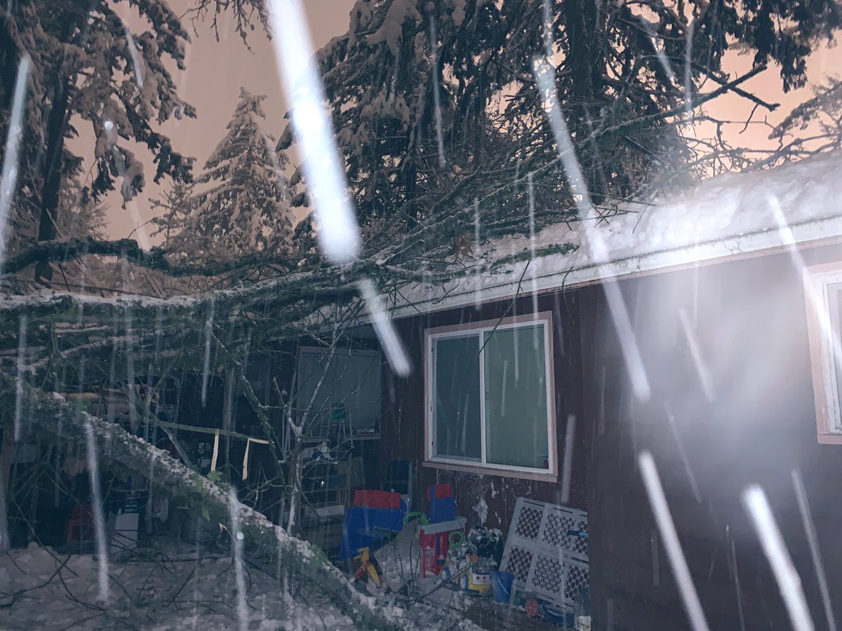 hazzz5's tweet photo. all this snow is so crazy! always love the experience but it’s such a beautiful mess 🥶❄️😭😫 https://t.co/9EPSAklZ2y