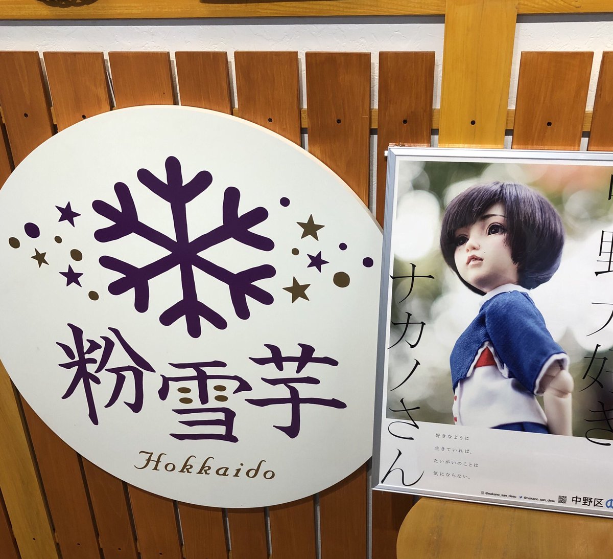 konayukiimo's tweet photo. 先日、ナカノさんのポスターをいただいたので店内に飾らせていただきました👏
いつかナカノさんがお店に来てくれることお待ちしております！🙌

❄️粉雪芋❄️中野ブロードウェイ❄️

(Ｕ 'ᴗ' )⊃━━*.❄️☆ﾟ(Ｕ  'ᴗ' ))╮ =͟͟͞͞🍠ﾌﾞｫﾝ
#中野大好きナカノさん 
#粉雪芋 https://t.co/DEx0Q3KczM