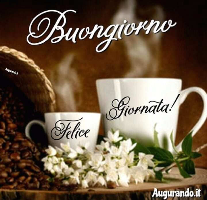 Maria_Rosaria9's tweet photo. Ciao https://t.co/FiQqBJ7pGs