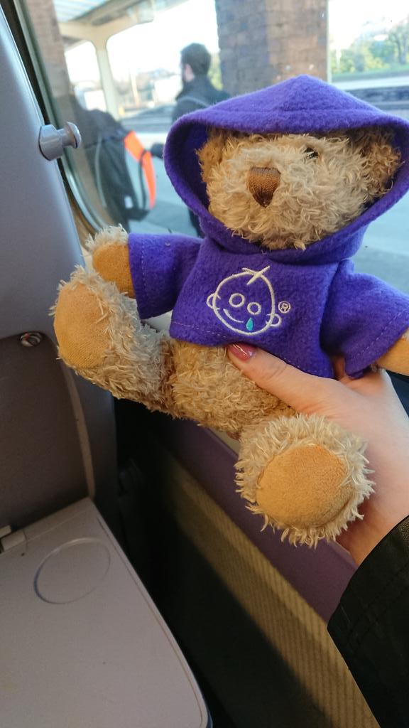 ChestercityPI's tweet photo. Bernard's off on an adventure today... Stayed tuned to find out where he's going! 👀 @MrBernardBear @GOSHCharity @gosh https://t.co/cK4evoHUKp