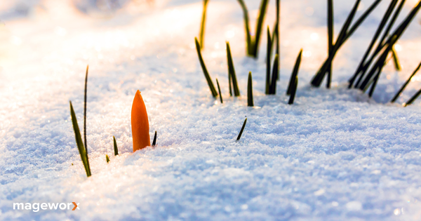 mageworxteam's tweet image. Did you know that ground squirrels in Alaska hibernate for 9 months? 🐿️ Good thing, we get to be more productive during the cold season! 😉 
Check out the major winter updates of our top extensions and stay tuned:
👉 ow.ly/P26B50mcYAM
#magento2 #extensionupdate #updates