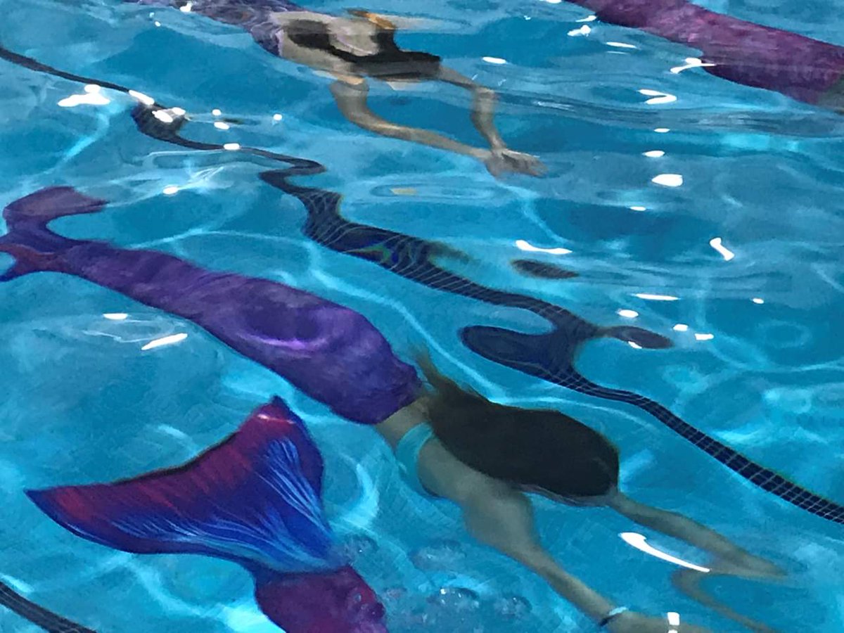 TheGatewaySLS's tweet photo. Some great images from last weekends party with @PlanetMermaid🧜‍♂️🧜‍♀️

The kids had a fantastic time😀

We look forward to working with you again in the future🎉

🏊‍♂️Interested in booking a pool party at The Gateway? 🏊‍♀️

Contact Sam:
📞 07892 712912
📧 thegateway@schoollettings.org https://t.co/8UQwv1ThUG