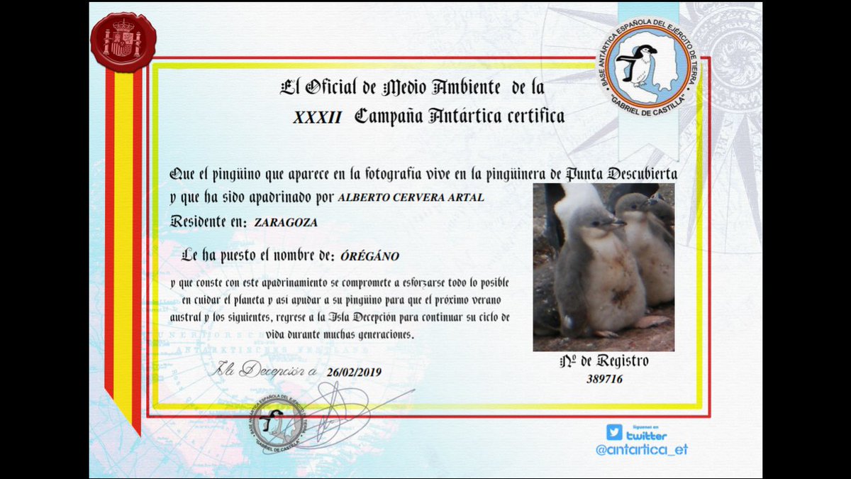 ACerveraArtal's tweet photo. Ayer en el descanso de la clase @sofiialapuente @GeorgeMU5 #Llanos y yo adoptamos un pingüino, como estábamos en clase de @neriorj_oscar en honor a el lo llamamos ÓRÉGÁNO, y este diploma es la prueba de ello
#MasterTGD #Solidarios #AdoptaunPingüino #oregano #Fila1 https://t.co/Q96gMP9pg2