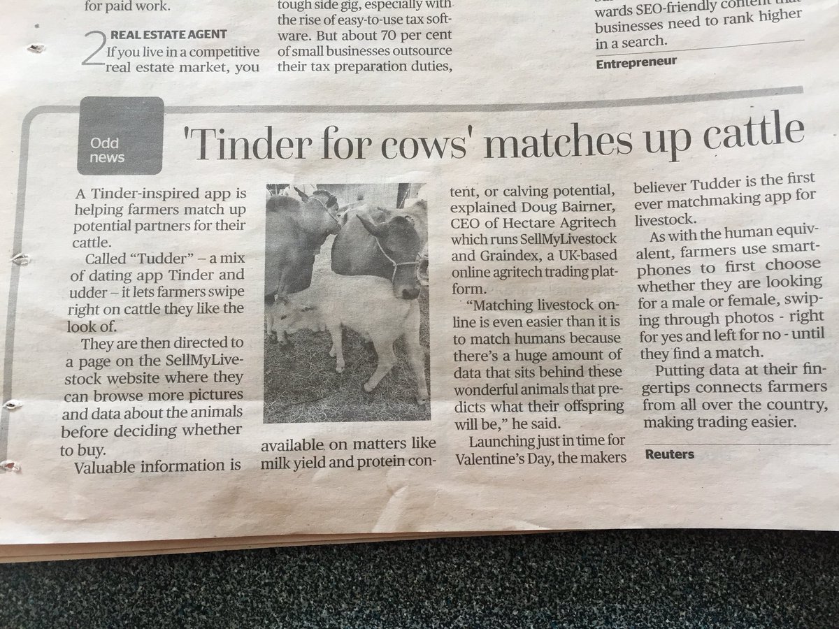 Feel depressed by the state of this nation #Kenya, but some news that cheered me up in yesterdays @BD_Africa 😊 Tinder for cows! 😍#cattlebreeding @mkulimayoung @F4YFKenya @annie_nyagah @BeeeJayCeee @njoki_thuo @ArigiB @Keshoney @Cowsoko @iCow_ke @CowSignals @KenyaDairyBoard