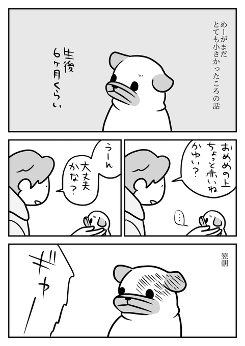 すぐおろおろして病院に駆け込んでいたころのこと 