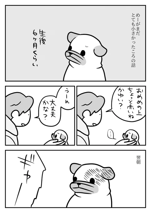 すぐおろおろして病院に駆け込んでいたころのこと 