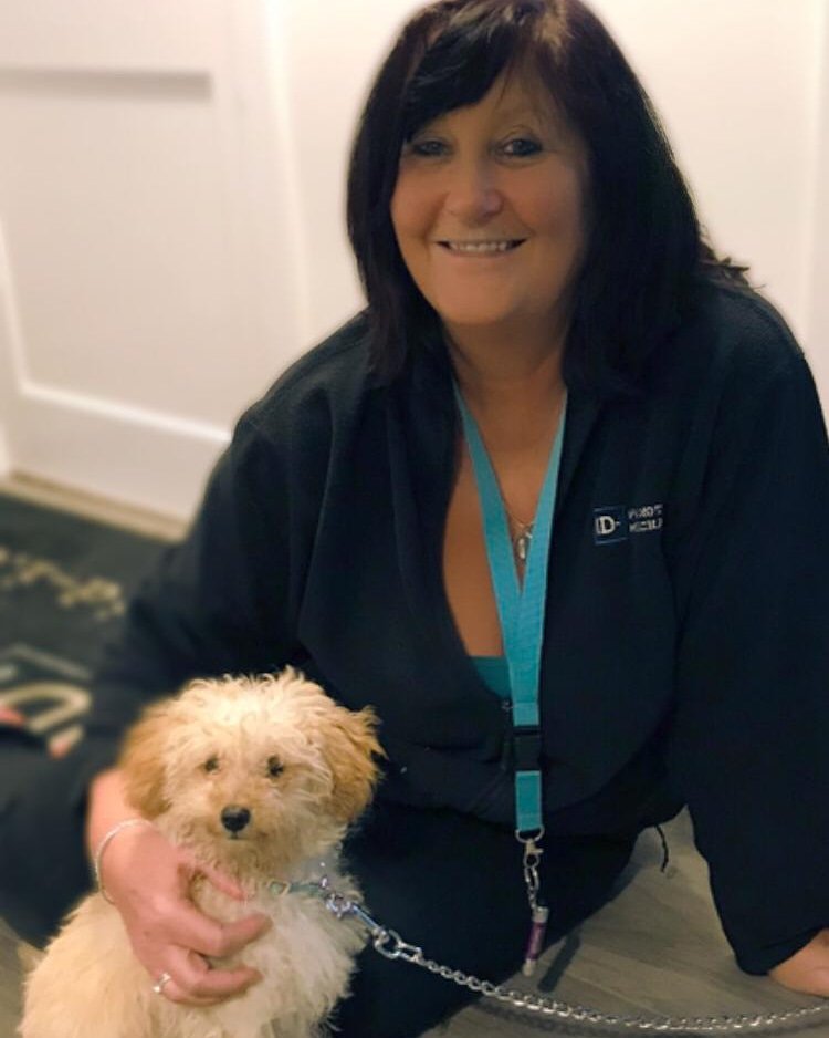IdIncentives's tweet photo. Introducing the latest office mascot Dotty ❤🐶😁 But don't be fooled she can be as fierce as a lion to protect her owner our very own office manager Denise!!!
#officemascot #lassapoo #dotty #guarddog #promotionalmerchandise #promotionalproducts #brandexposure #beafraid https://t.co/L3DZ4RgZTd