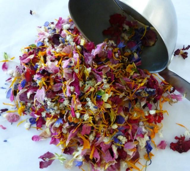 Credibly Green tweet media