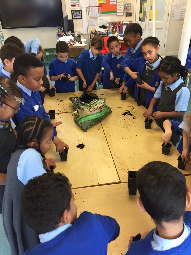 StGeorgeClass's tweet photo. Getting our hands dirty at gardening club! We planted broad beans and onions and will observe them as they grow! #gardeningclubstannesE1 #sciencestannese1 @StAnnesCPS https://t.co/1y1vHKdMjN