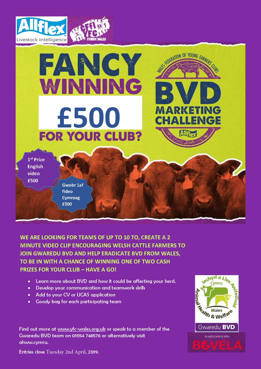 Yn galw pob ffermwr ifanc! Dyma cyfle i chi! 👇
Mae cyfle i chi ennill dwy wobr ariannol hyd at £500 ac mae’n hollol syml i geisio! 📽️

Young farmers! We need you! 👇
You can win £500 - and getting involved couldn’t be easier! 📽️

<a href="/allflexuk/">Allflex Livestock Intelligence GB</a> <a href="/WalesYFC/">Wales YFC</a>