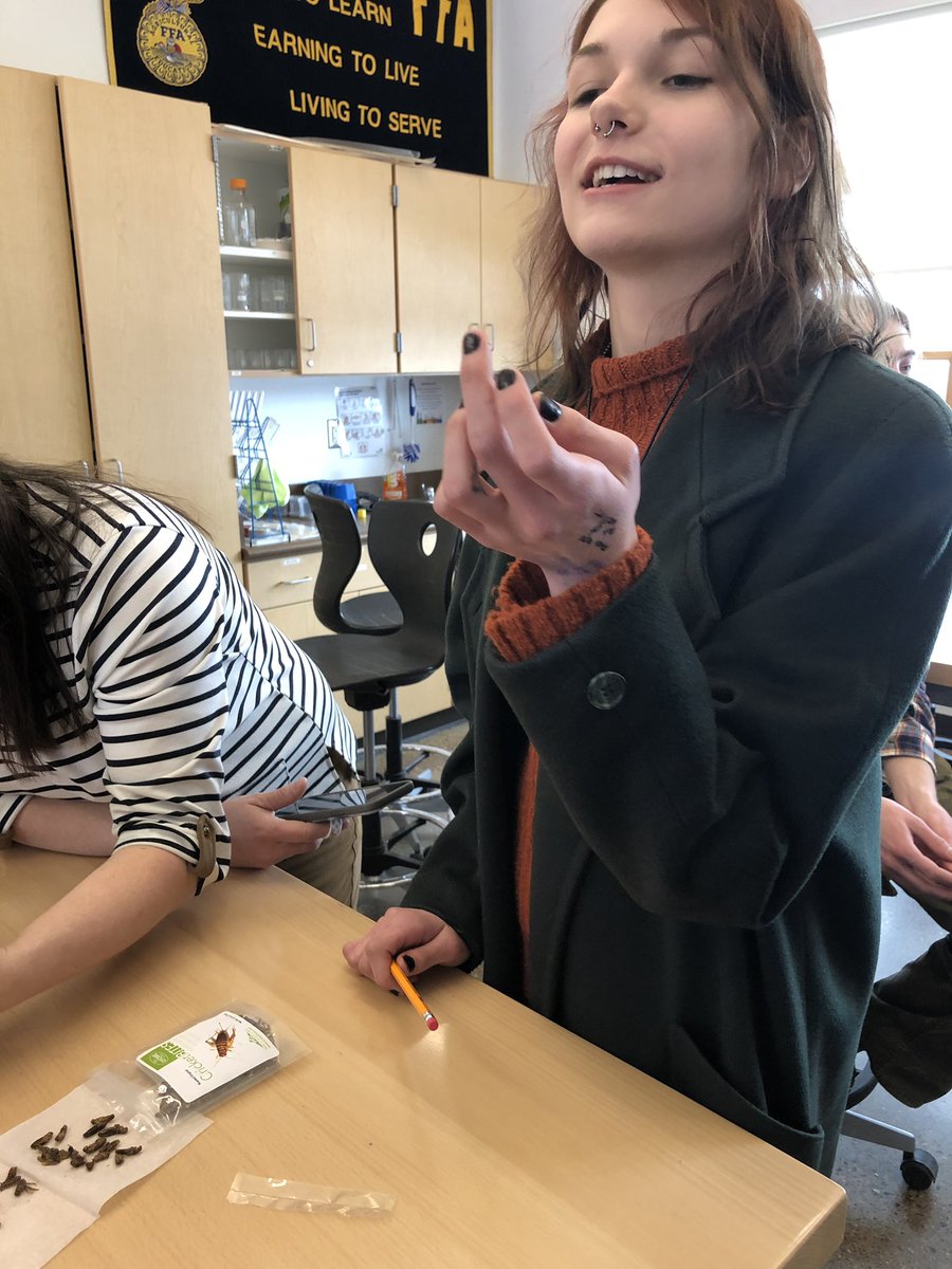 QFT to launch our unit with a fitting ending snack! #iateabug #inquirybasedlearning #importanceofinsects <a href="/BHBowersFarm/">Bowers School Farm</a> <a href="/bhschools/">BHSchools</a>