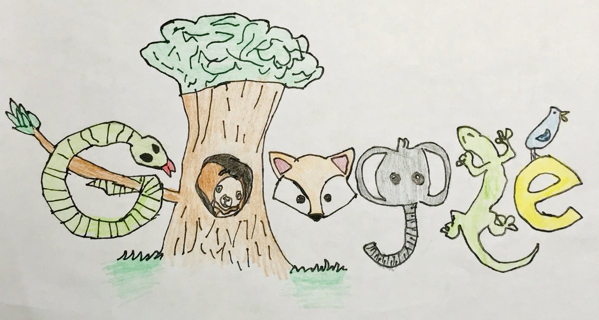 Brian Rowe tweet media