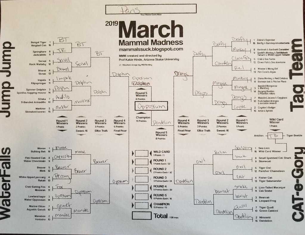 parisfogle's tweet photo. This time the oppossum shall overcome! #2019MMM #YearOfTheOppossum https://t.co/NsnjBE7Gom