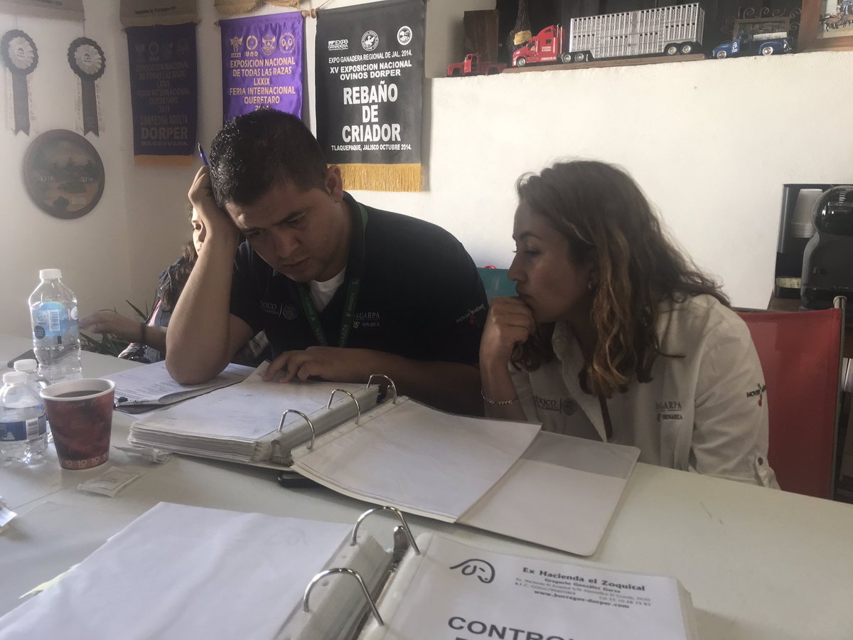 Revalidación de Certificación en Buenas Prácticas Pecuarias <a href="/SENASICA/">Senasica</a> con apoyo del <a href="/cefpphidalgo/">cefpp Hidalgo</a>, <a href="/UCEHGO/">SENASICA Hidalgo</a>, <a href="/UCEHGO1/">UCEHGO</a> y <a href="/vaguirre28/">Victor Aguirre</a>