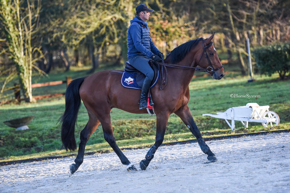 Julien Alexandre, Géraldine Rouch et moi-même présenterons Boracho de la Chapel, Champagne Kokka et Baltimoree à Magnanville. L'objectif de ce concours national est de faire prendre de l'expérience à nos jeunes chevaux 😊

ecurie-angot.com 📷 Horsesystem