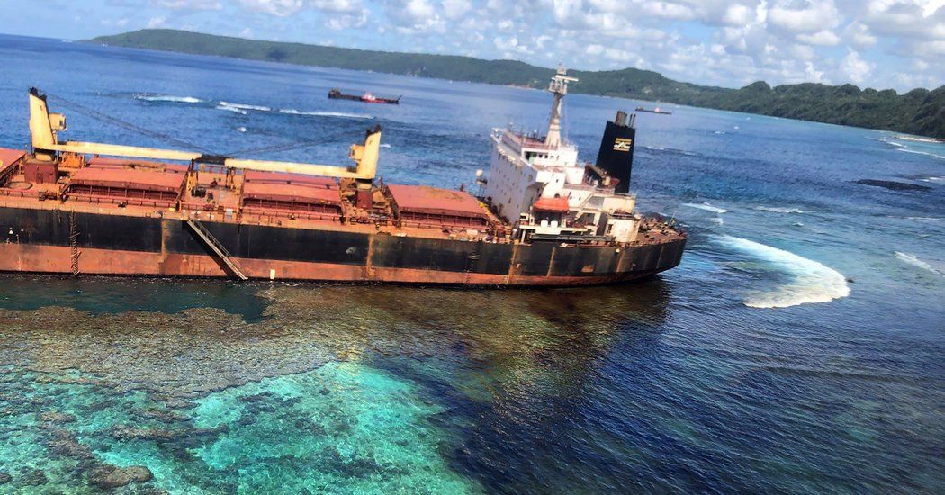 Holiday Watchdog tweet media