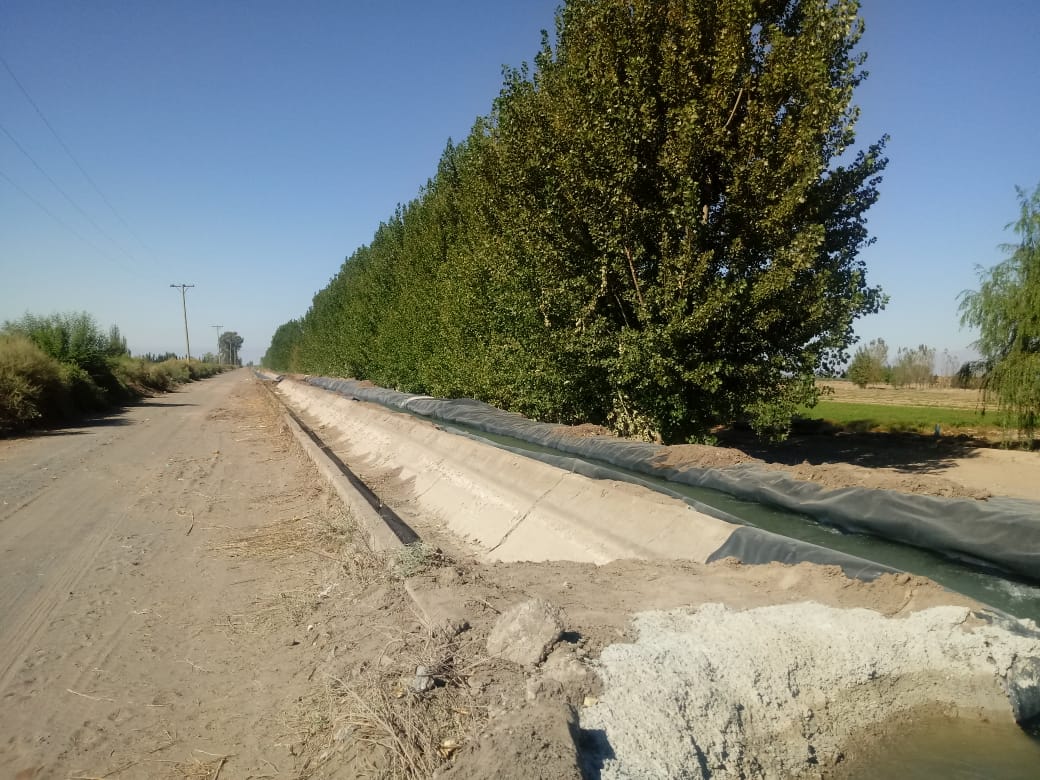 PROSAPSanJuan's tweet photo. 👷🏼‍♂️🍇En el marco de este proyecto se está realizando limpieza y desmalezamiento de caminos de servicios, revestimiento y mantenimiento de canales y ramos. Estas tareas se están ejecutandoen los ramos Goransky, Tercero, Yanzón y Canal Majadita en el departamento 9 de Julio💧🍅 https://t.co/hprvPzEfUw