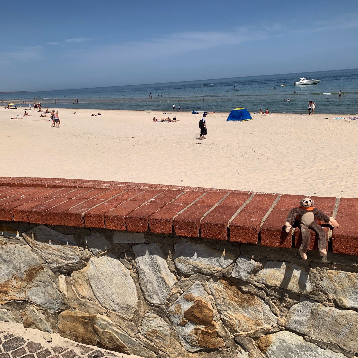 it_monkey's tweet photo. Rough afternoon 😉☀️ 🌊 https://t.co/6V8Y65atlm