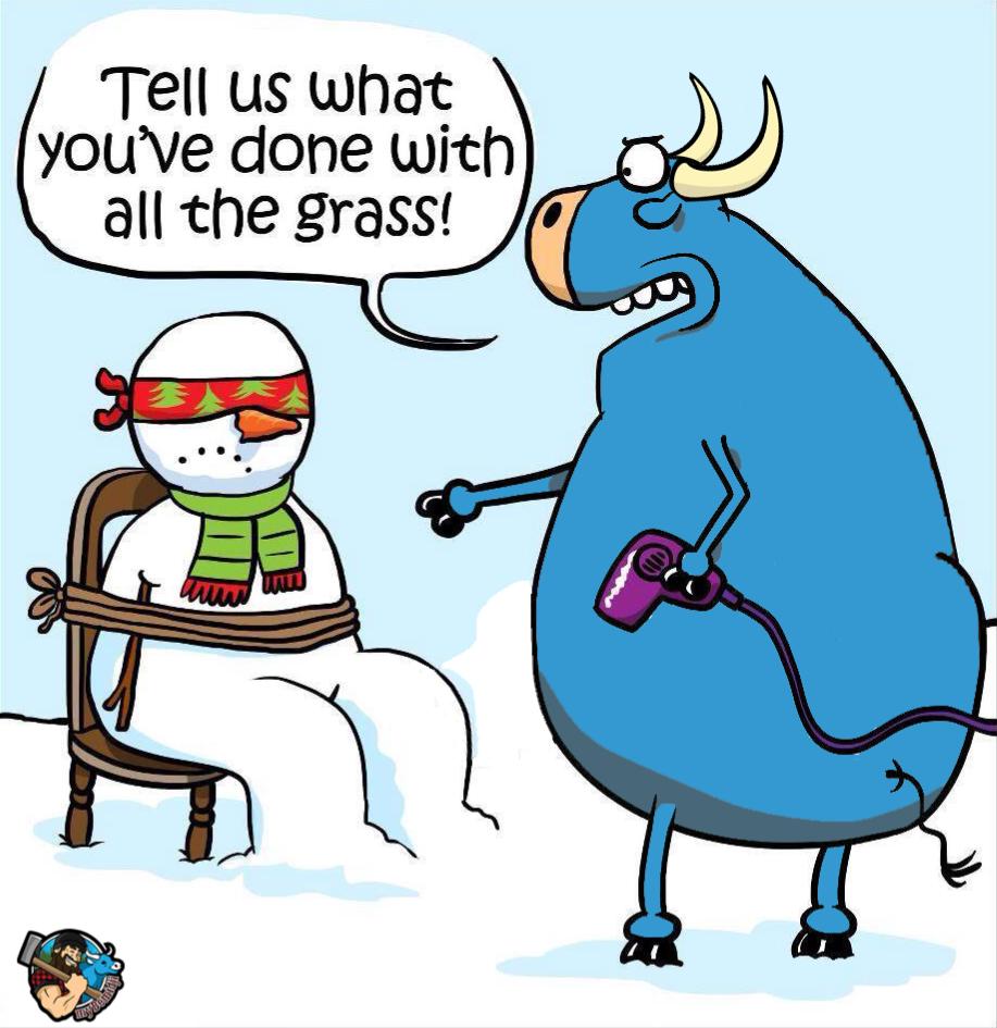 Babe is sick of your 💩 winter! 🔫⛄ #babetheblueox #myBemidji