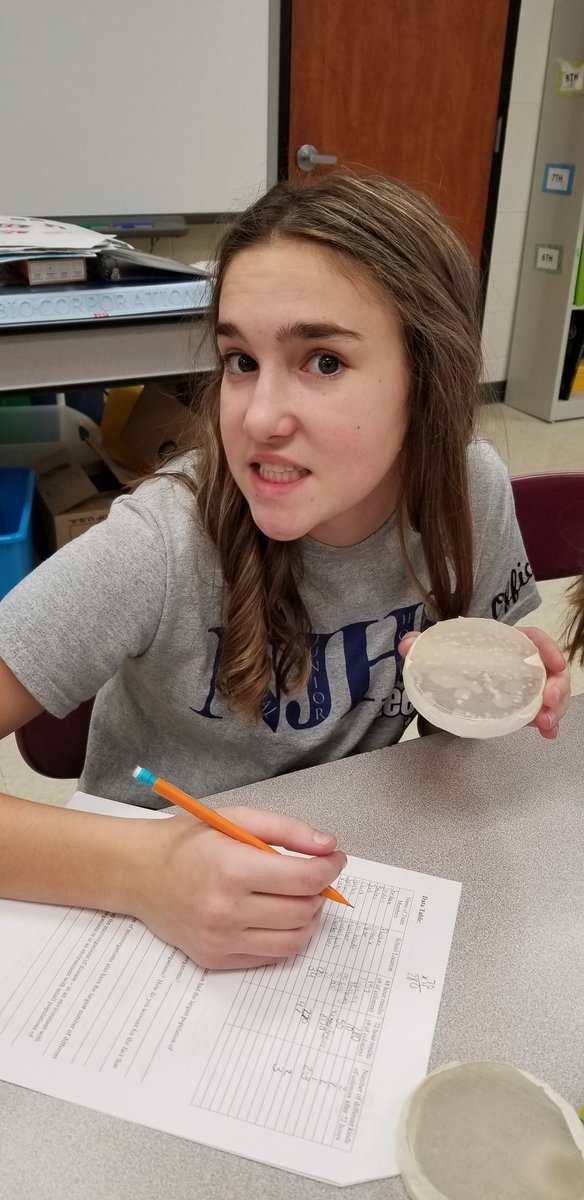 OrrickChristina's tweet photo. Bacteria lab in 8th grade!...turns out toilet flushesrs and water fountain push buttons contain lot of bacteria. #leetonbulldogs #bacteria #MSscience #yuck https://t.co/fTBRMHNmIT