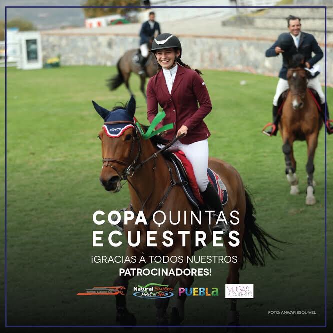 HarasOficial's tweet photo. Gracias a todos los participantes de la Copa Quintas Ecuestres por brindarnos un gran espectáculo! 
¡Agradecemos nuestros patrocinadores por su apoyo!
Horse Logistics , Natural Suites Hotel, spa &amp; eventos , https://t.co/3tmmCS0LyG,  #Mugaalquiler

#EnHaras #CopaQuintasEcuestres https://t.co/wTmu2Os0t8