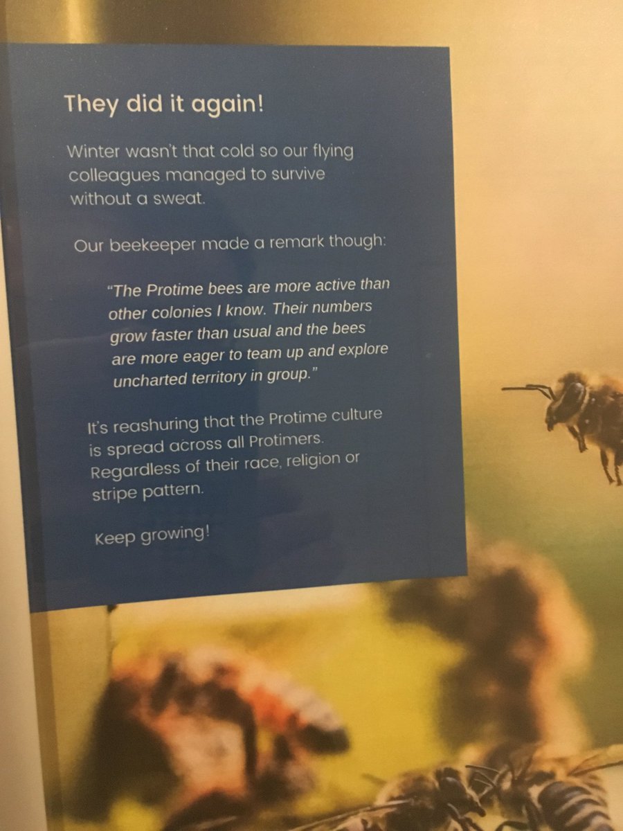 petersjongers's tweet image. My company is cooler then yours ❤️ 😉 #greatplacetowork #protime