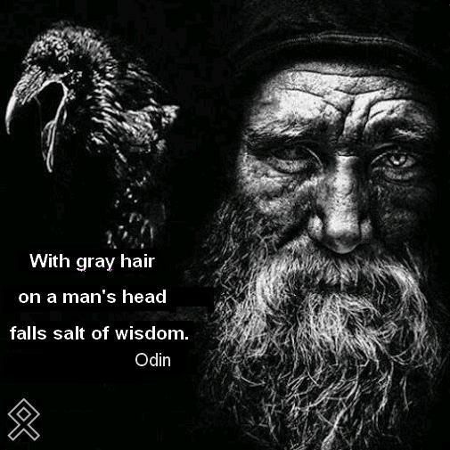 <a href="/PaulHar73659277/">💀🎵 I am Wolf🎵💀</a> <a href="/SICKBASTARD3/">Sick bastard</a> <a href="/BklineBetty/">Liz M Edgington🇬🇧🇨🇦</a> @Hyrrokkin89 <a href="/slayerific13/">🎣🏹🦌Slayer G🦌🏹🎣</a> @UrShieldmaiden <a href="/Wolfcat033/">Wolfcat033</a> @Iwildlupine @mel_vikings <a href="/KaRaRacn75/">🔥Firecracker-K🔥</a> <a href="/KaraAvelli/">Lady Karalee Avelli ( Learyth )</a> <a href="/PrideofTheNorse/">Krstulfr Dreyruga</a> <a href="/RavenKi45722066/">Raven King</a> @BlackVikingWolf @BaronDisgusted <a href="/Raymosaki/">Bruce W.</a> <a href="/Valhallawulf/">Wulf</a> Thank you brother! Blessings to you and the clan as well 🖤