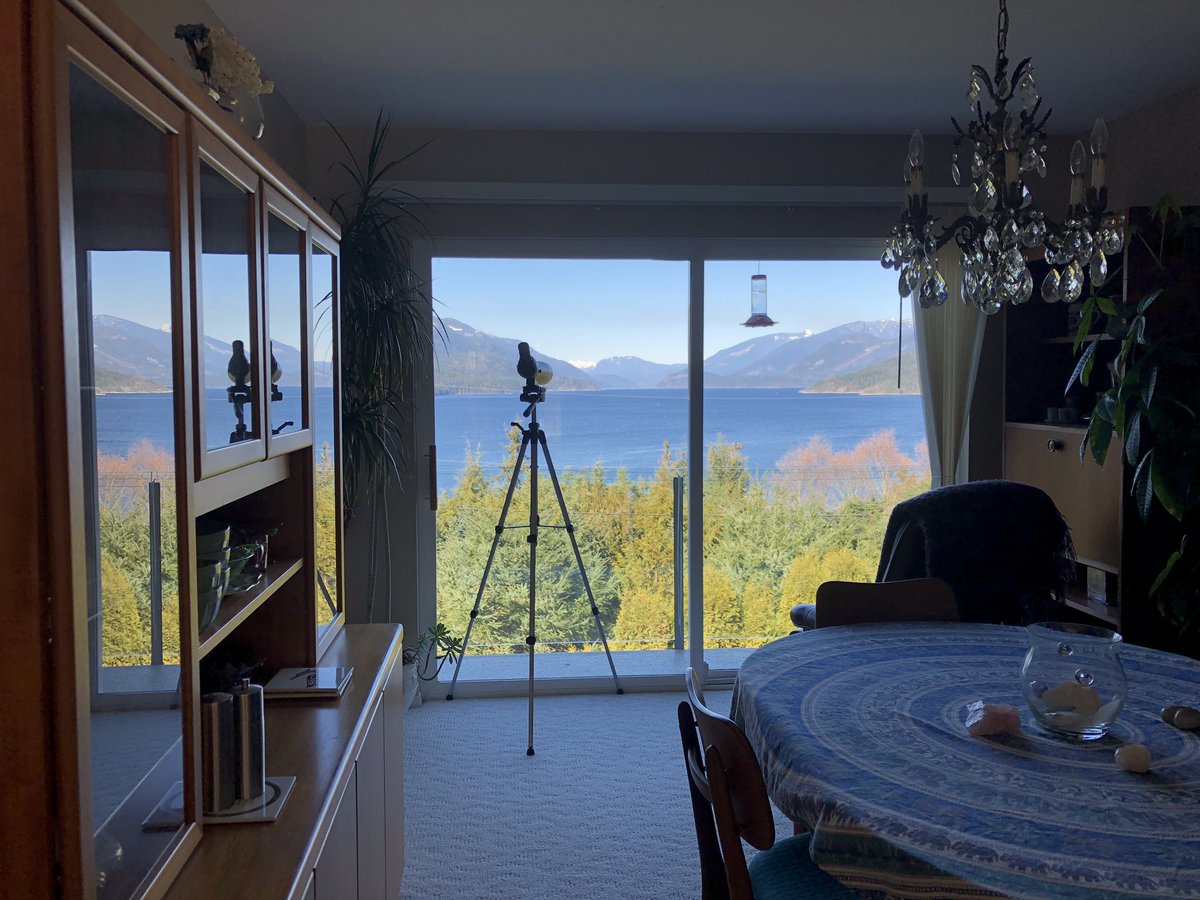 A clear sky at the retreat is inspiring but hard to get anything done. All I want to do is sit and gaze at this healing energy so grounding &amp; peaceful. Your mind clears &amp; truth surfaces when you get away from distractions. #healing #retreat #retreatlife #getaway #sunshinecoastbc