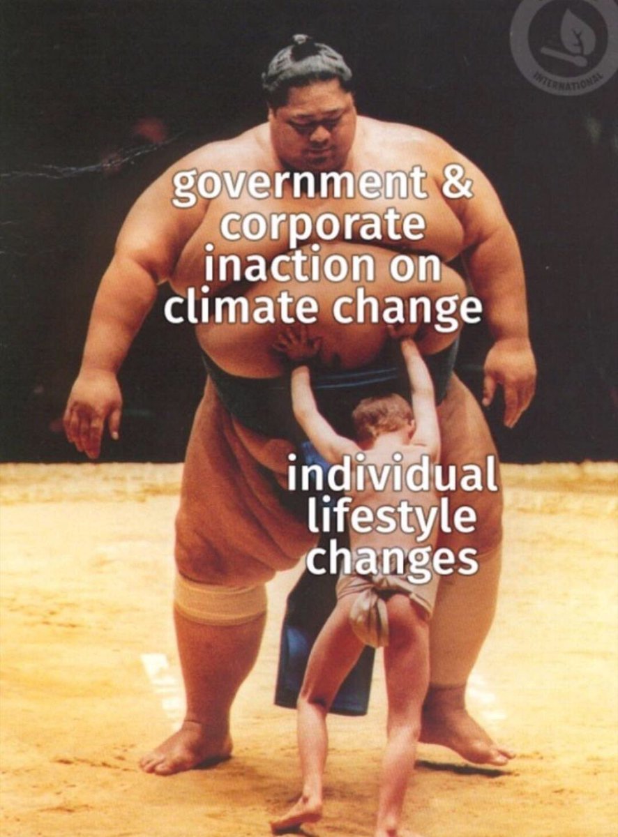 LumberJak tweet media