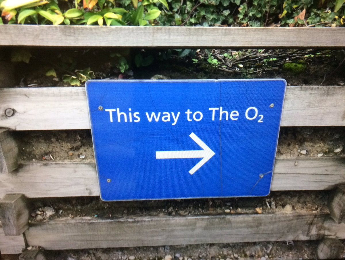 VincentInMotion's tweet image. Could use some O2 #GartnerDA