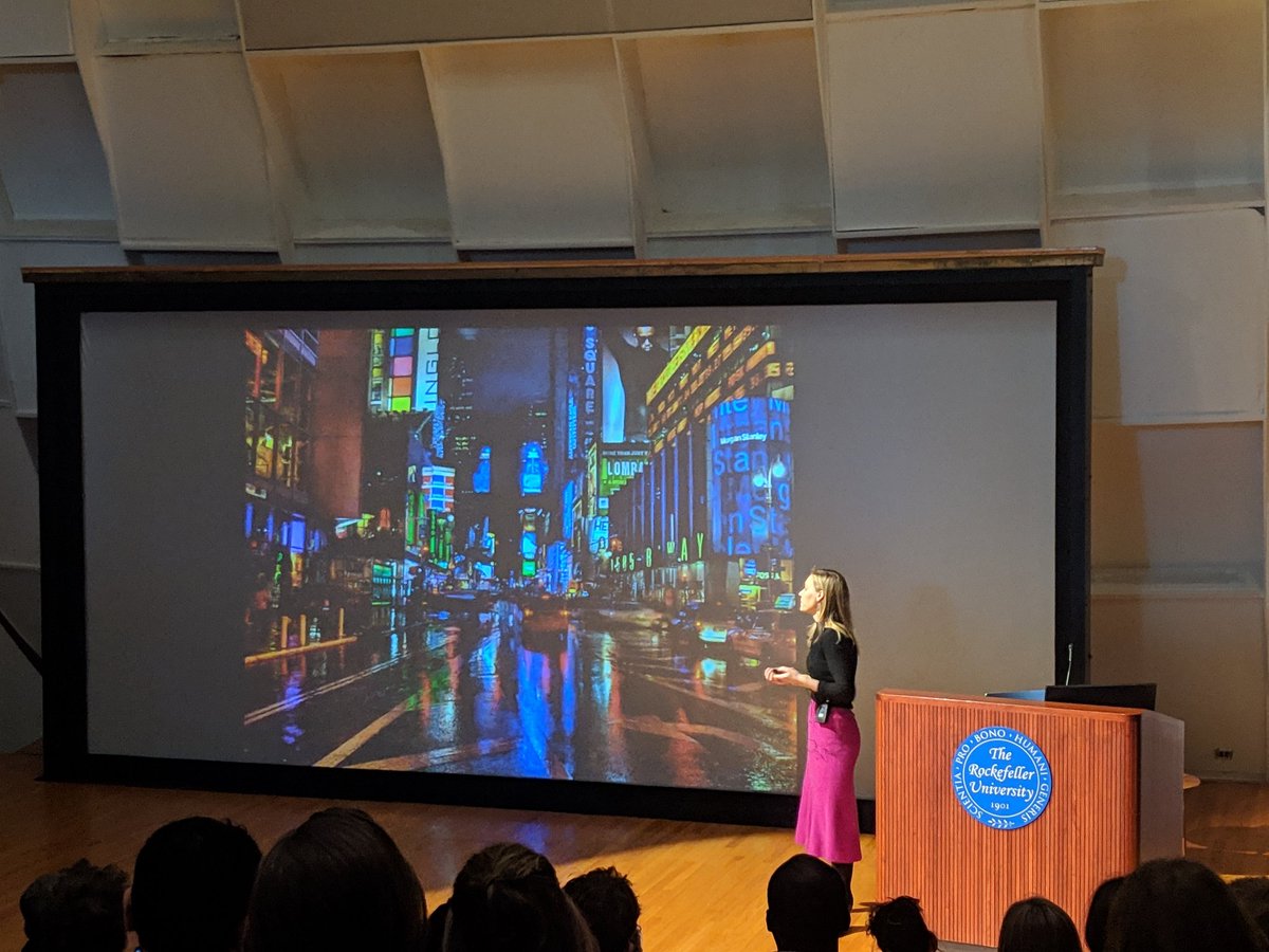 JeanneGarb's tweet photo. Congrats to the smart and passionate soon-to-be PhD @AnnieHandler on her thesis defense day. Mentored by Vanessa Ruta at @RockefellerUniv, Annie's work centers on learning and memory. Annie is also a champion of #sciout, leading a summer neuro prgm for HS students #rutalab https://t.co/KyBvQHjyZZ