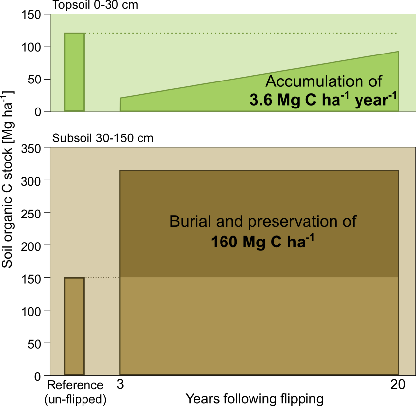 GlobalChangeBio's tweet photo. Deep soil flipping increases carbon stocks of New Zealand grasslands
📝https://t.co/g3bMt147u7
#GCBearlyview https://t.co/hi5vP0l1pu