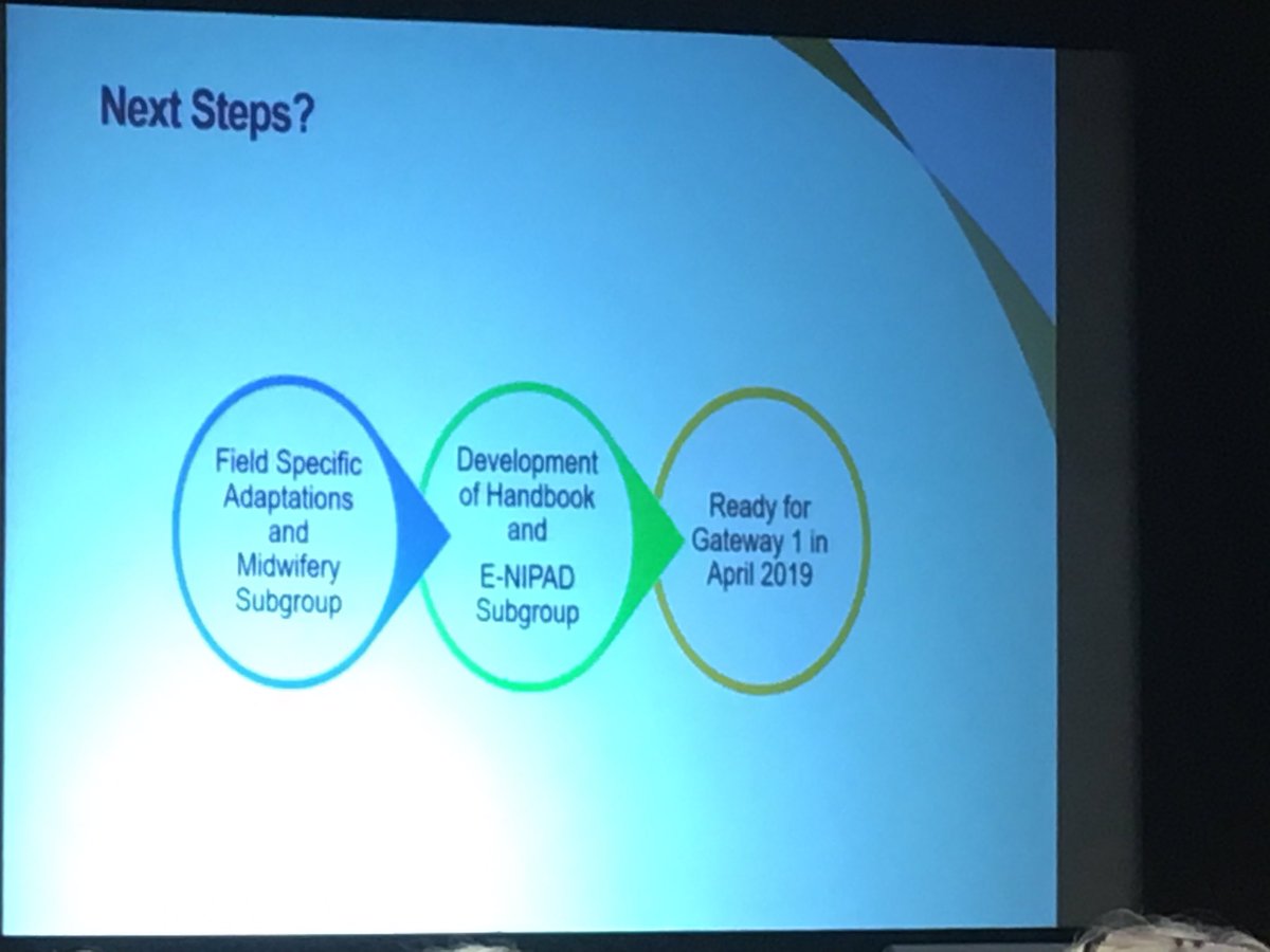 CarlyT2044's tweet photo. @NealFCook sharing plans for the NIPAD document. Fantastic work being done by the N.I team. #NIPEC19 #NIFNFM. https://t.co/taxLfHFMfk