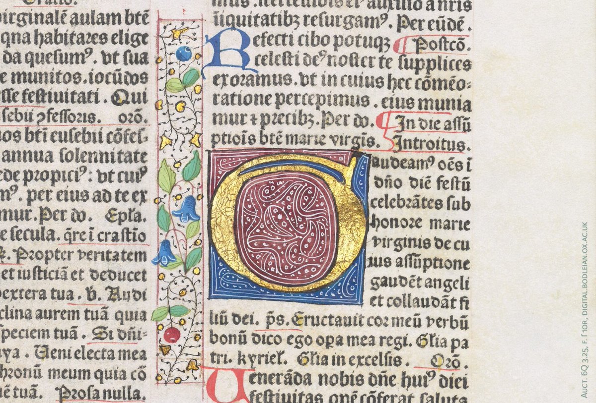 BDLSS's tweet photo. Decorative initials added to an #EarlyPrinted (1481) edition of the Parisian Missal, in two volumes. This copy is sadly missing a pair of woodcuts which were printed with the first volume. https://t.co/3zksDMkDsh (part 1); https://t.co/2iNaw3suiq (part 2) https://t.co/67FeKnW7cr