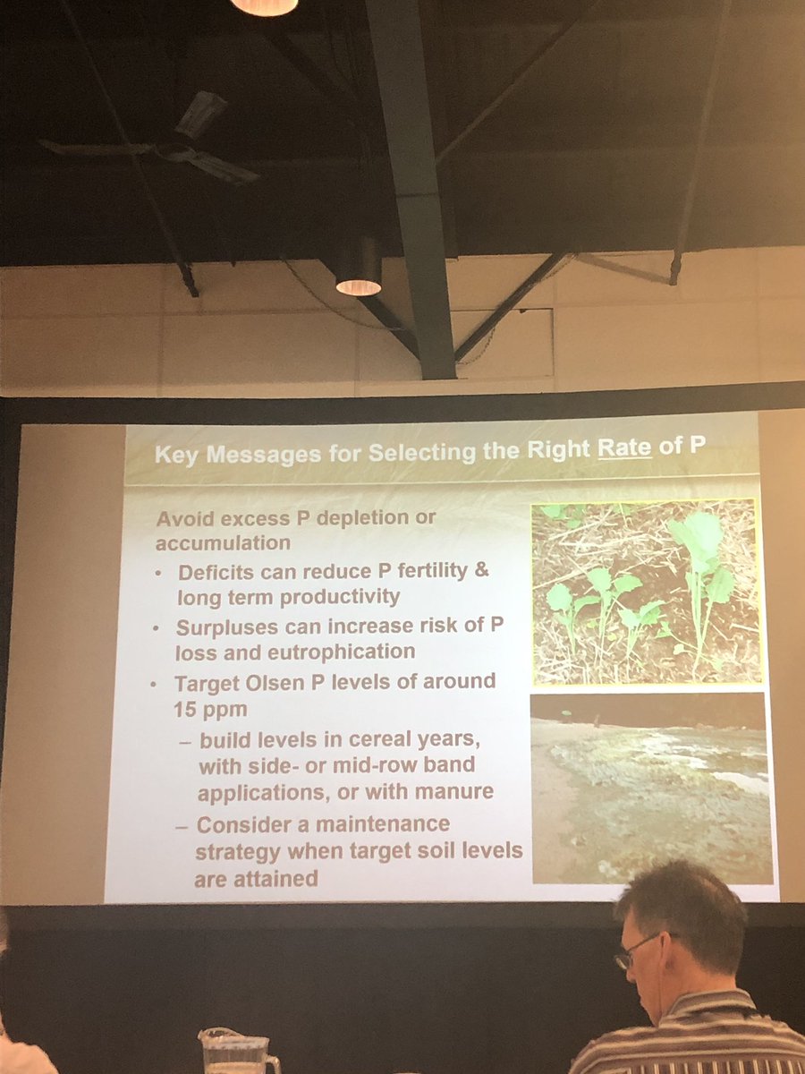Western_Ag's tweet photo. Flaten’s key messages for selecting the right rate of P fertilizer.
We at @Western_Ag can help with this using PRS Probes to determine more accurately what’s in your soil. #soilscrops #cropcaster https://t.co/4PFWhXT07T