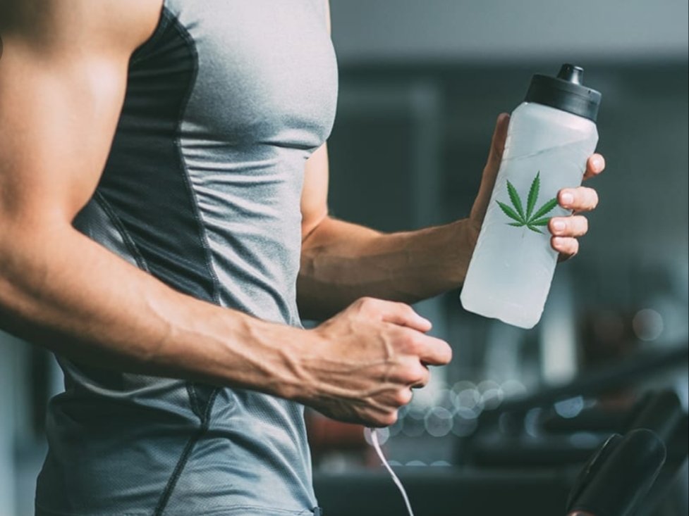 CbdComfort's tweet photo. Cannabadoil is becoming more popular with Athletes and performers. Benefits include..

🌿 Weight management 
🌿 Aid Anxiety 
🌿 Sleep and relaxation
🌿 Decreased Nausea
🌿 Anti Inflammation 
🌿 Pain Management 

#cbdoiluk #cbdsport #mma #boxing #weightlifting #gym #pt #workout https://t.co/WiKnX0teoF