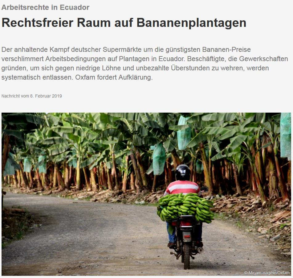 miadschaem's tweet photo. Neues aus dem rechtsfreien Raum ecuadorianischer #Bananen-Plantagen: #Noboa, eine Bananen-Dynastie mit RIESIEGEN Plantagen, entlässt alle 46 Mitlgieder der neu gegründeten #Gewerkschaft der Hacienda Julia https://t.co/R4112CPijc #MakeFruitFair #fairnesseintüten https://t.co/C2ULLzm4gR