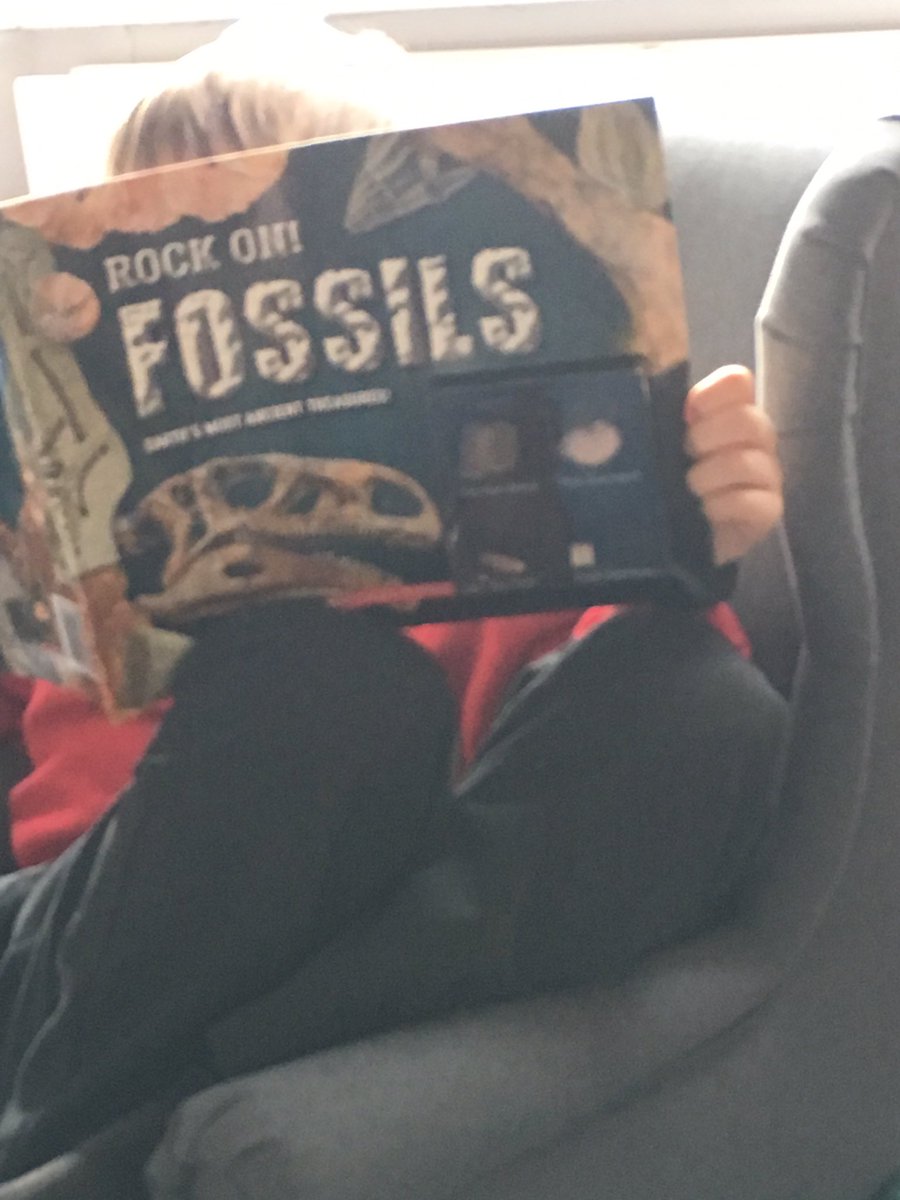 drlauraedwards's tweet photo. @mill_view book fair purchase #MVLoveToRead #TJEY3 https://t.co/LX4t41hNHY