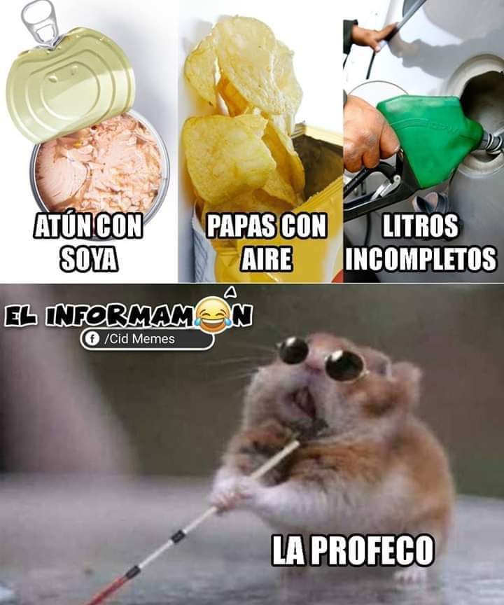 fifiChopi's tweet photo. @Profeco @lopezobrador_ @yeidckol @DeniseDresserG @DeniseMaerker @joaquu @CiroGomezL  y así todo en el gobierno de #Veracruz será que les dió el mal del ratón de la imagen?? #FelizMiércoles #QuienPodraDefendernos https://t.co/59zirRlqfZ