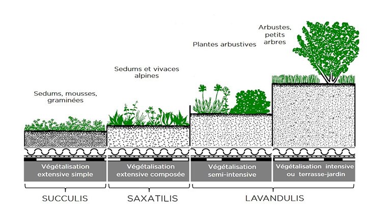 ECOVEGETAL1's tweet photo. Comment réussir sa toiture végétale ? Plusieurs paramètres définissent le choix d'un système de végétalisation. Voici les 8 notions à prendre en compte pour réussir sa toiture végétale.
https://t.co/L9aBIb5pME
#toiturevégétale #toitvert #toiturevégétalisée #biodiversite #substrat https://t.co/WLnixKle28