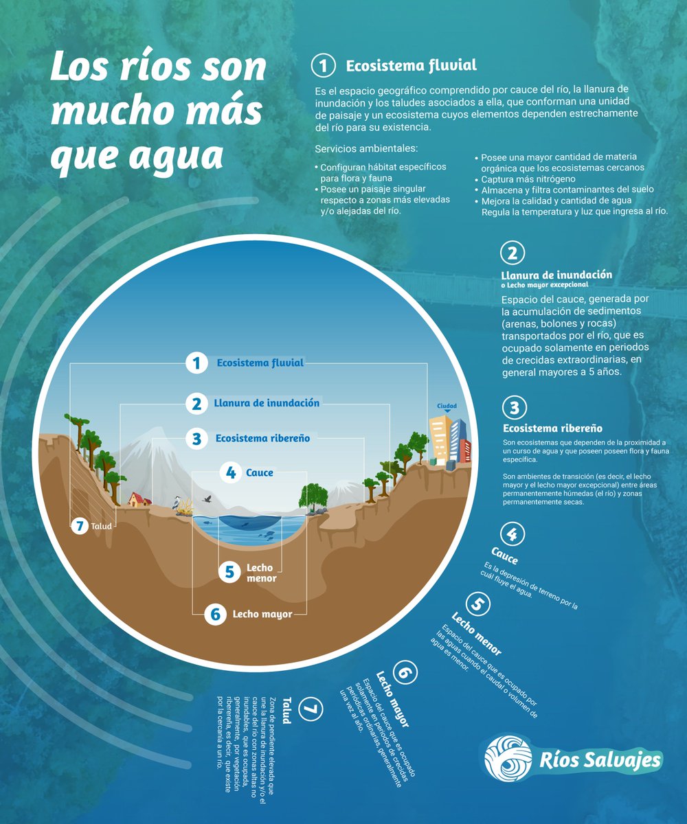 TerramChile's tweet photo. 💧LOS RÍOS SON MUCHO MÁS QUE AGUA. 
Constituyen un complejo ecosistema que favorece la subsistencia de tantos otros en el planeta. En sí mismos, albergan una gran diversidad de espacios de alto valor paisajístico, cultural y ecológico.  
🇨🇱 necesita una Ley de @RiosSalvajes ¡YA! https://t.co/dMHGFT2xj3