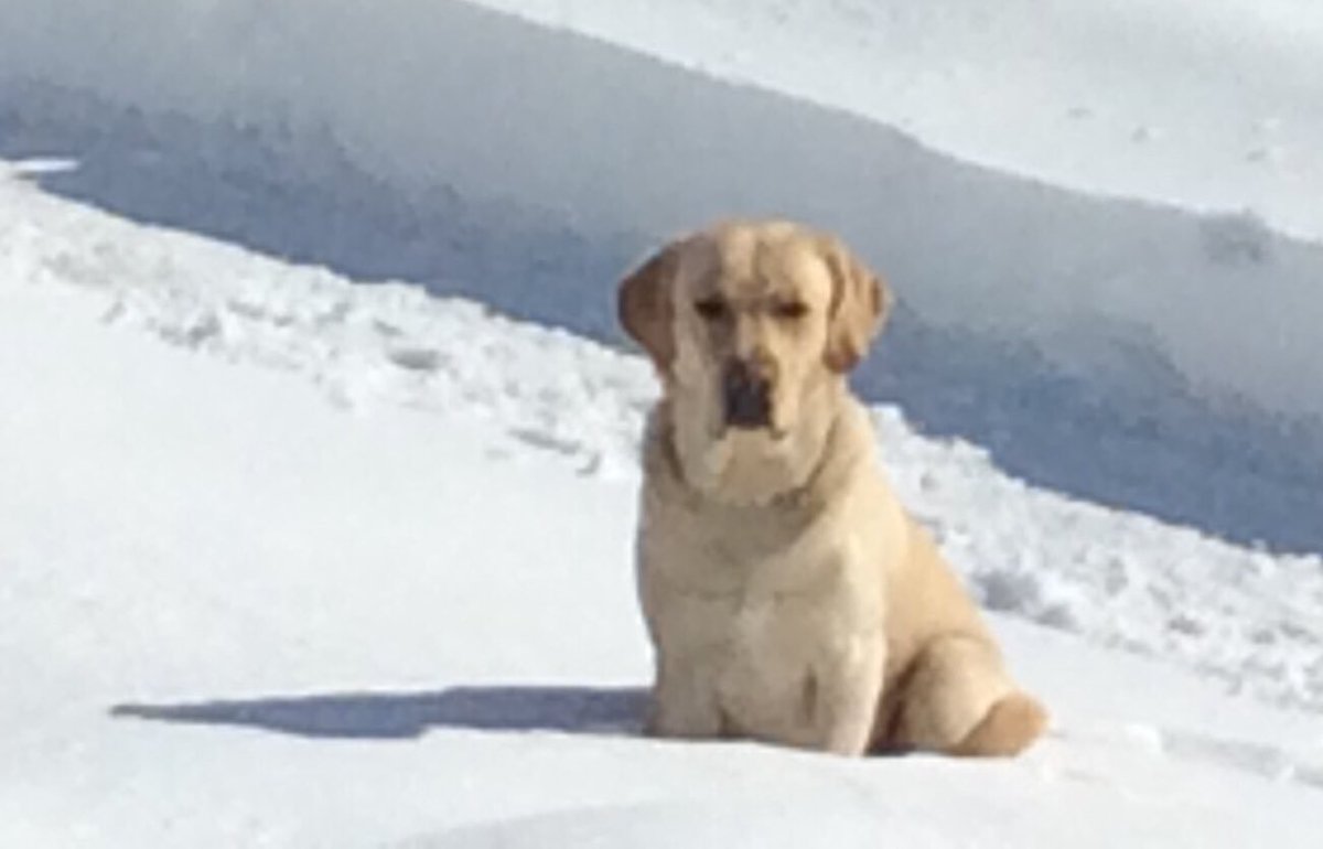 Sunglasses please. Cool lab. #labs