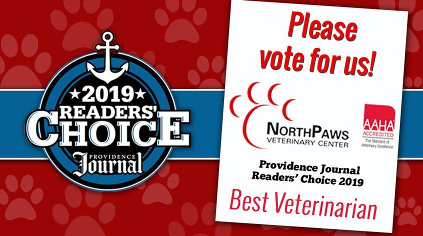 NorthPaws's tweet image. Don't forget to vote for The Providence Journal​'s 2019 Readers' Choice Awards! Please vote for NorthPaws at Best Veterinarian in the Services Category.
buff.ly/2H4oqWf