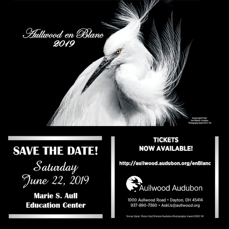 AullwoodAudubon's tweet photo. Save the date for this year's Aullwood en Blanc, an extraordinary evening of music, performance & cuisine! Details & tickets @ https://t.co/jW7noTFFl2 now! #AullwoodEnBlanc #gala #nonprofit #supporthecause #heyjimmyband #conservation #daytonohio #daytonoh #dayton #aullwoodaudubon https://t.co/eLgj8kgSEL